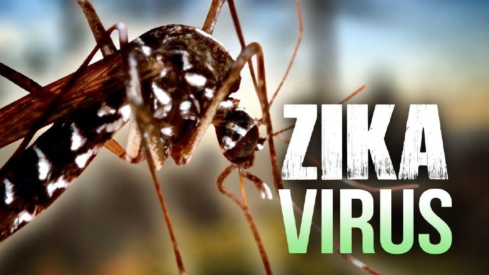 ¡Alarma! En América Latina y el Caribe hay más de 500 mil casos sospechosos y confirmados de zika