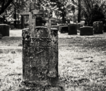 Nueva ley permite que mascotas sean enterradas con sus dueños en Brasil