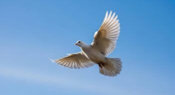 El duelo: cuando el amor aprende a quedarse sin presencia (Parte I)